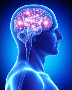 Neurological Function