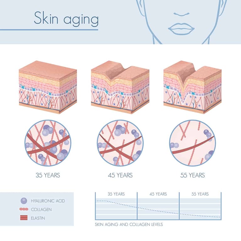 Skin Ageing