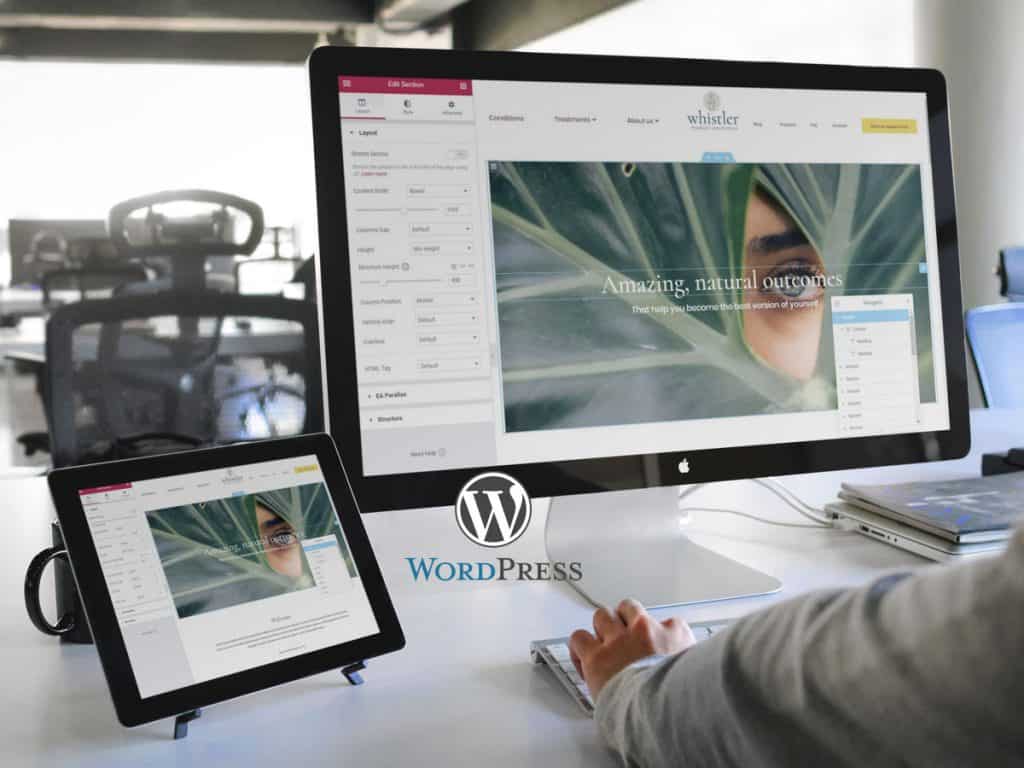 wordpress wordpress